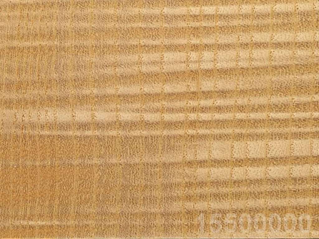 ESCHE – Brooks Bros Timber